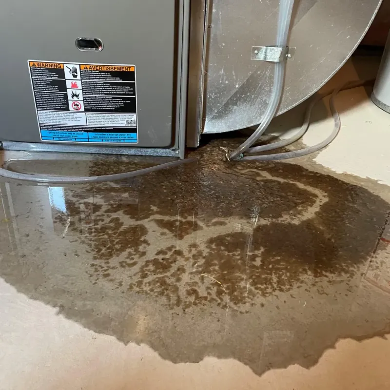 Appliance Leak Cleanup in Pike Road, AL